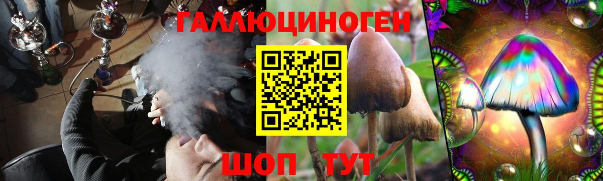 Нефтекамск  Галлюциногенные грибы Psilocybe  Псилоцибиновые грибы ЛСД  Вход с VPN 